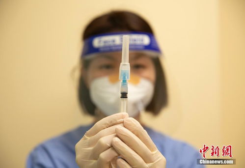 美國舊金山華裔社區(qū)居民積極接種新冠疫苗